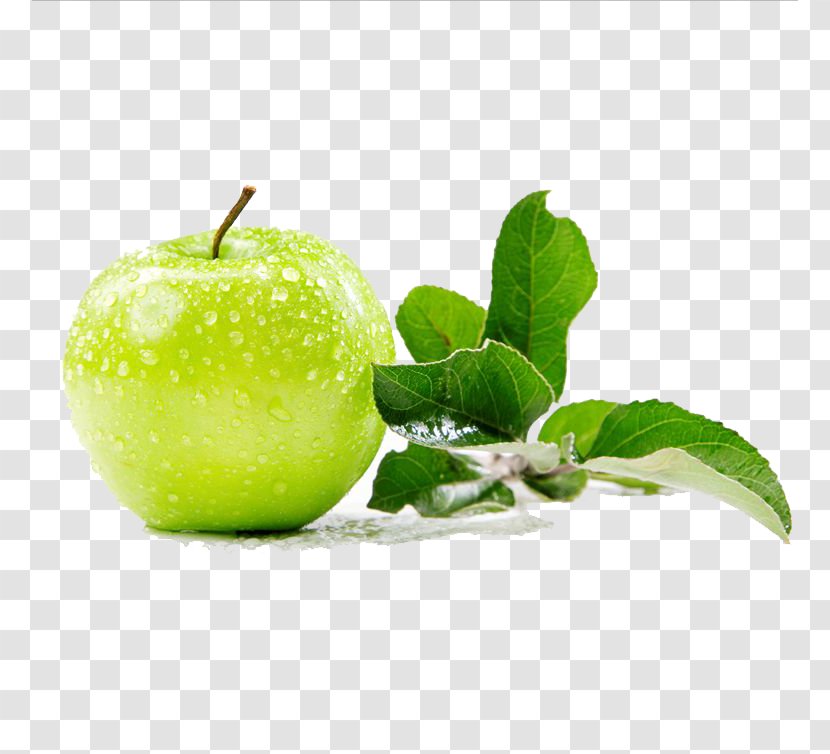 Stock Photography Lip Balm Apple - Green Picture Material Transparent PNG