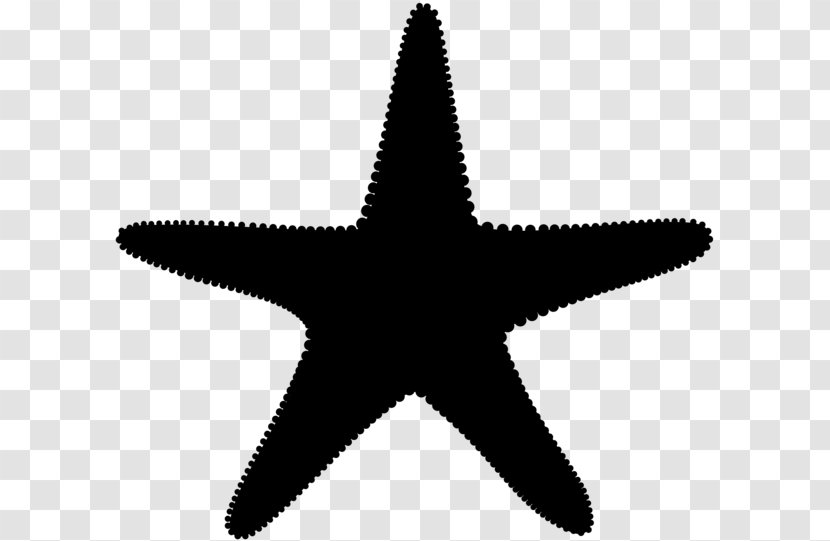 Starfish Vector Graphics Clip Art Illustration - Star - Royalty Payment Transparent PNG