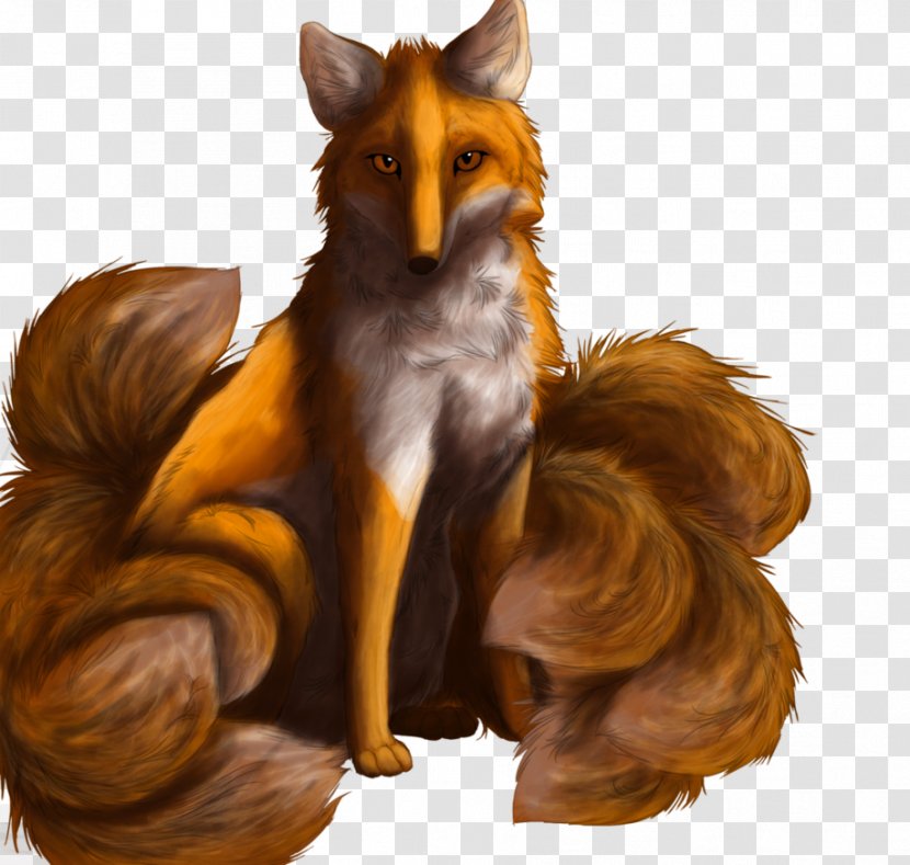 Red Fox Fur Wildlife News - Carnivoran Transparent PNG