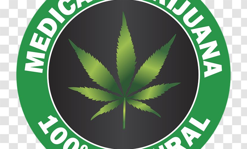United States Medical Cannabis Legalization Medicine - Logo Transparent PNG