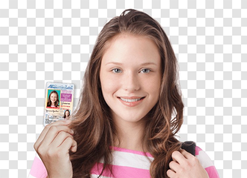 Learner's Permit Driving Driver's License Education - Watercolor Transparent PNG