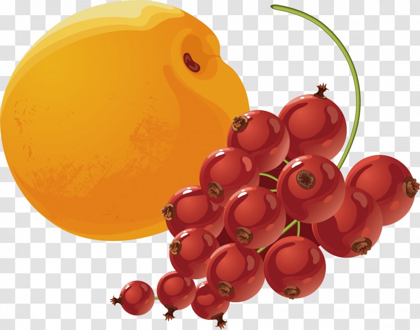 Apricot Armenian Food Berry - And Soda Material Transparent PNG