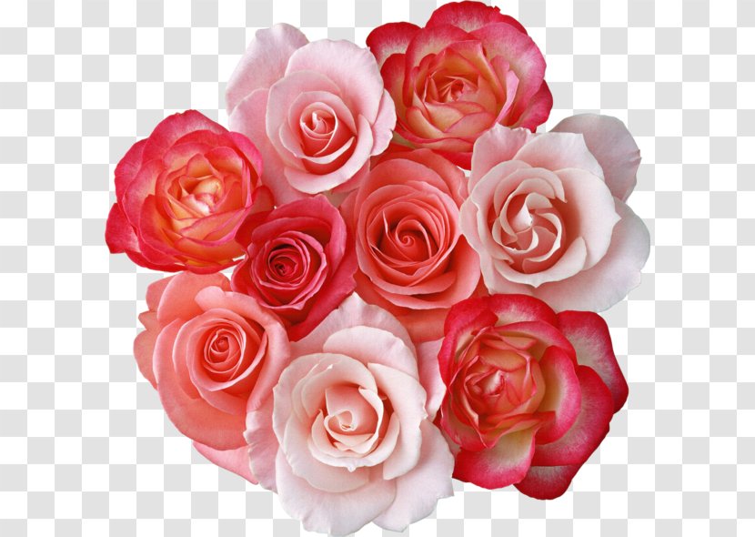 Rose Flower Bouquet Pink Flowers Clip Art - Red - Bunch Transparent PNG