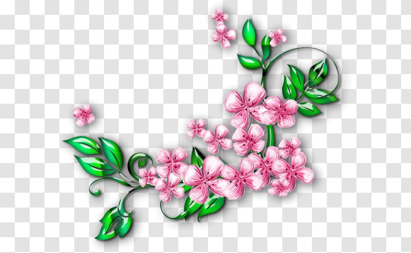 Floral Design Flower Photography Clip Art - Flowering Plant - Bagti Transparent PNG