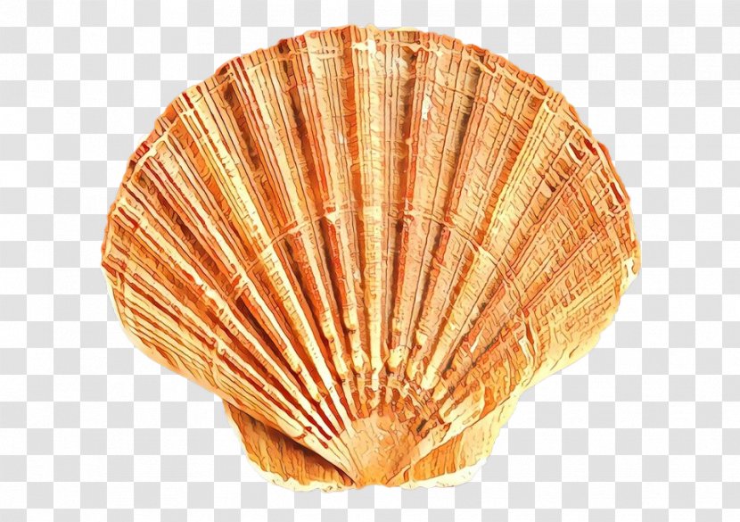Snail Cartoon - Seashell - Natural Material Seafood Transparent PNG