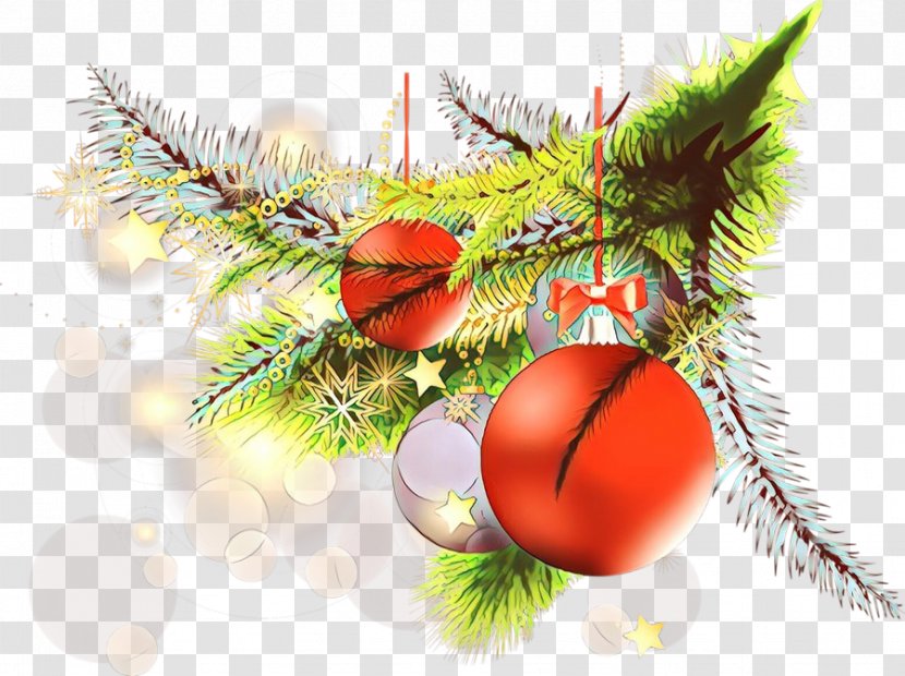 Christmas Ornament - Branch - Fir Transparent PNG