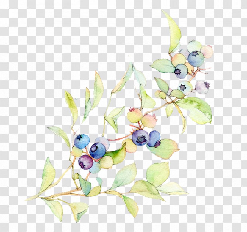 Blueberry Bilberry Illustration - Floral Design - Hand Painted Ink Transparent PNG