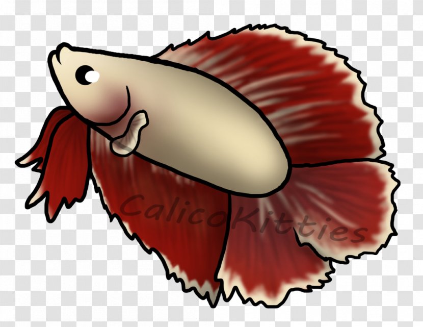 Drawing Cartoon Bugs Bunny Siamese Fighting Fish - Seafood - Betta Transparent PNG