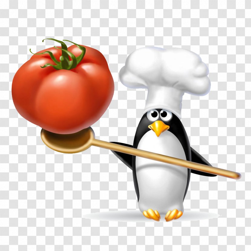 Penguin Chef Animation - Take Penguins With Tomatoes Transparent PNG