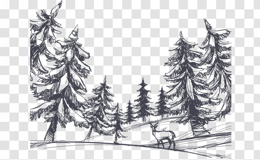 Drawing Shulin District - Hand Drawn Sketch Winter Forest Transparent PNG