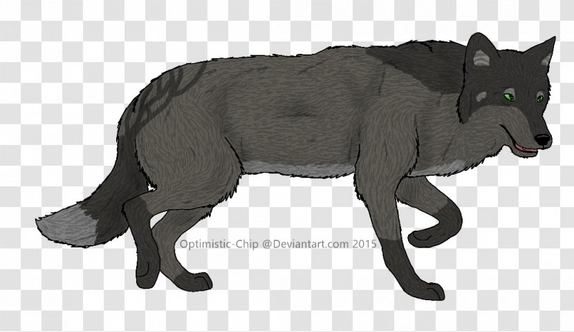 Gray Wolf Fauna Fur Snout Wildlife - Mammal - Penut Transparent PNG