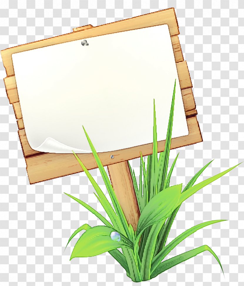 Watercolor Plant - Wood - Houseplant Grass Family Transparent PNG