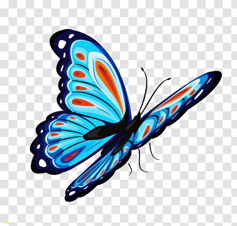 Butterfly Desktop Wallpaper Clip Art - Monarch - Blue Transparent PNG