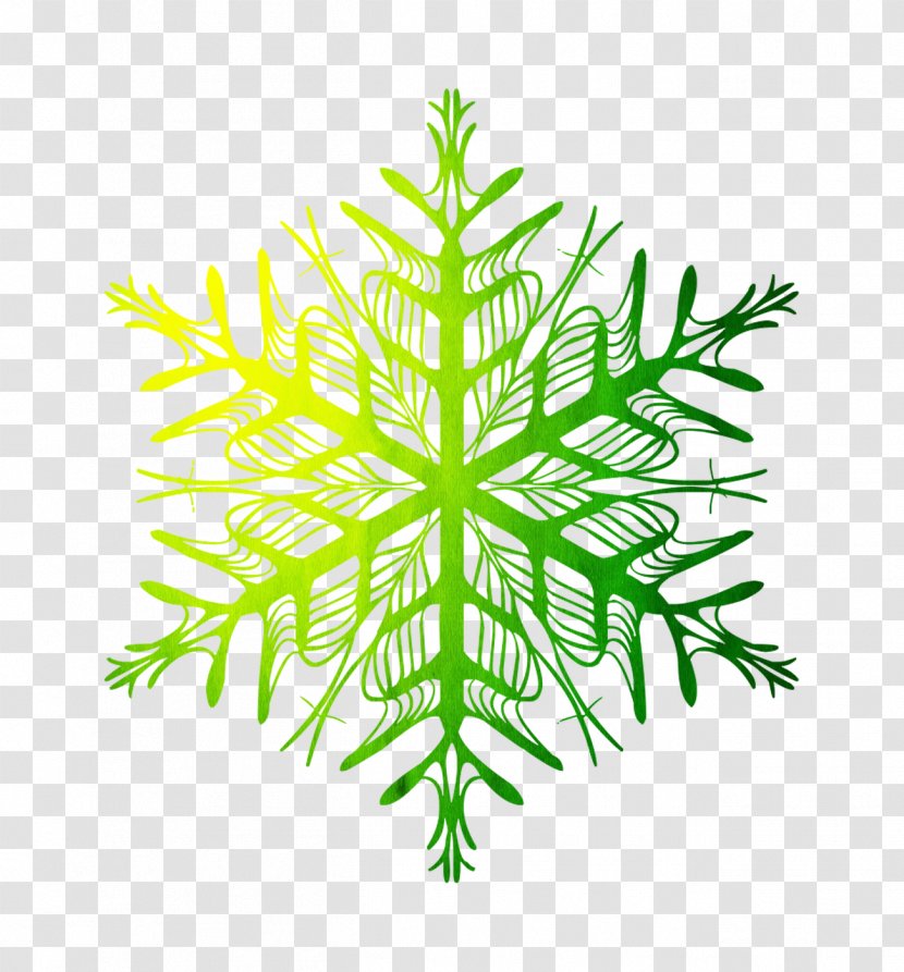 Snowflake Clip Art Vector Graphics Christmas Decoration - American Larch Transparent PNG