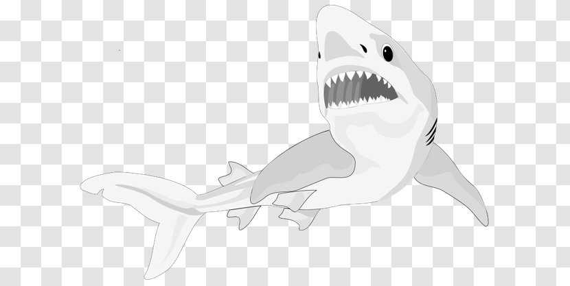 Shark Line Art Mammal Clip Transparent PNG