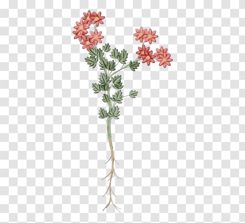 Floral Design Transparent PNG