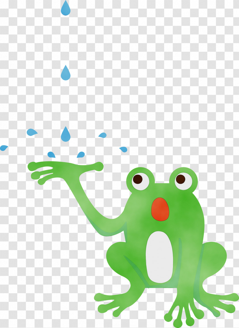 Tree Frog Cartoon Frogs Toad Green Transparent PNG