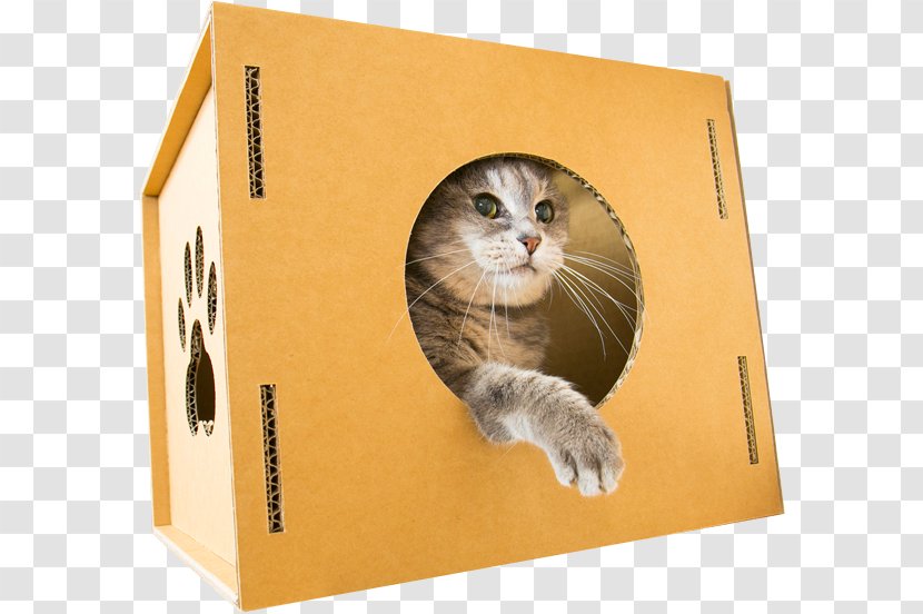 Whiskers Kitten Cat キャットウォーク Paw - Corrugated Fiberboard Transparent PNG