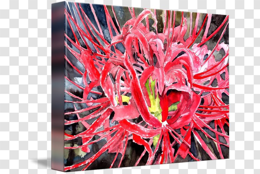 Red Spider Lily Petal Watercolor Painting Canvas Transparent PNG