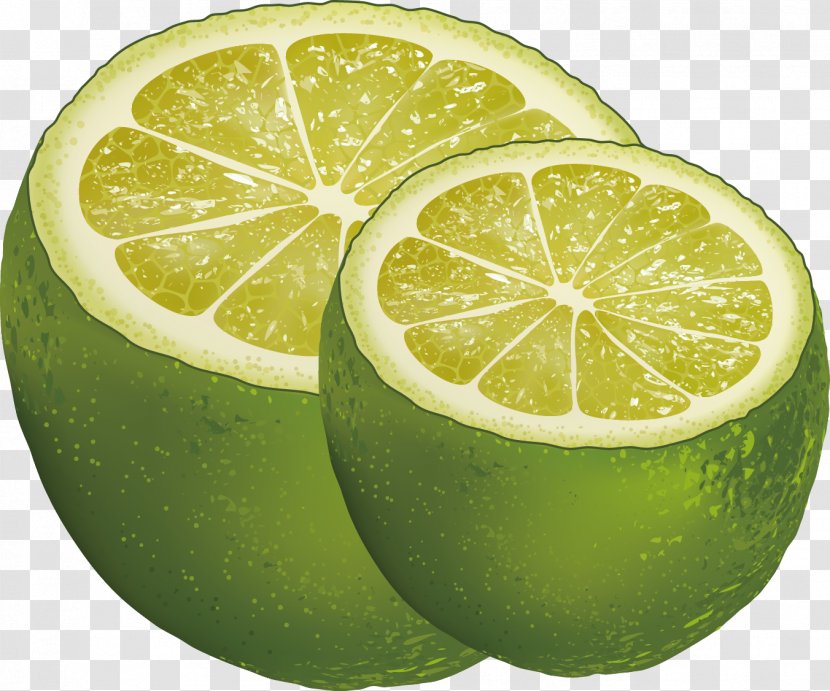 Persian Lime Lemon Key - Grapefruit Decorative Design Vector Transparent PNG