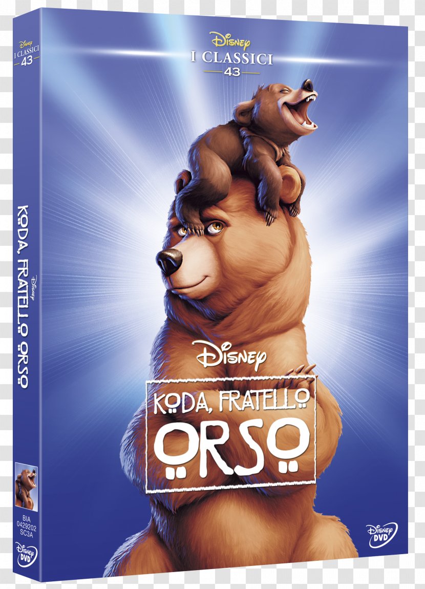 Kenai DVD Brother Bear The Walt Disney Company Film - Dvd Transparent PNG