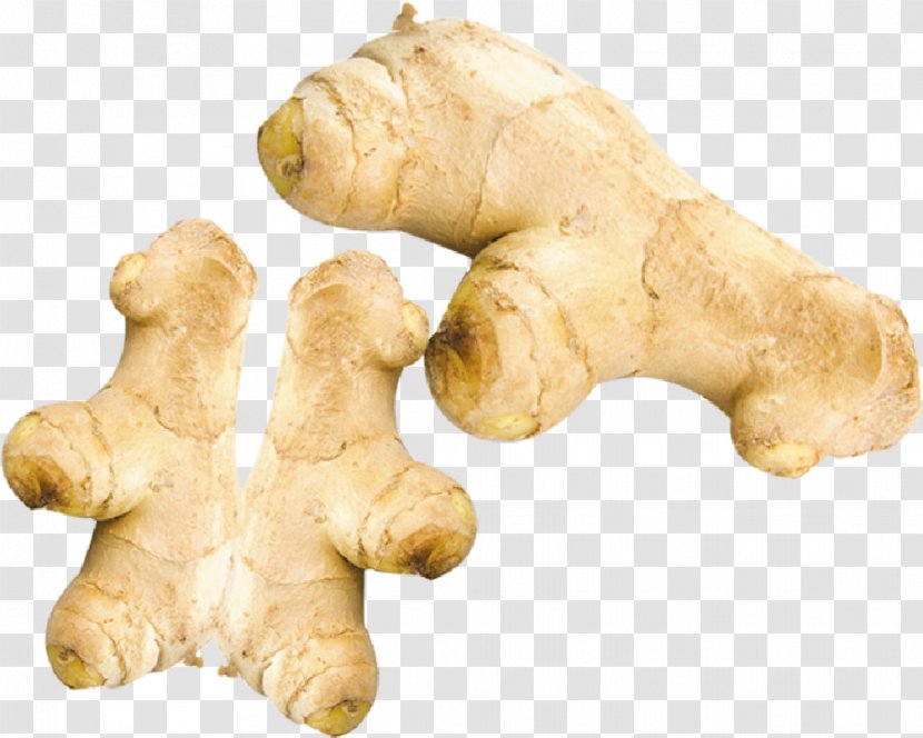 Root Vegetables Ginger Ingredient Transparent PNG