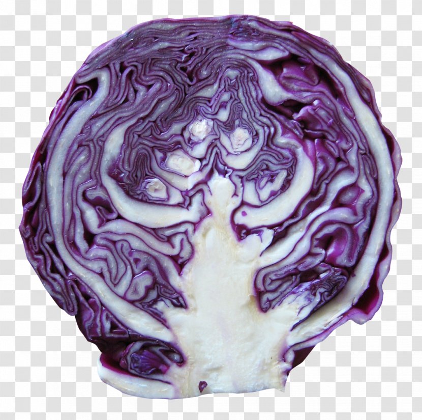 Red Cabbage Vegetable - Rutabaga Transparent PNG