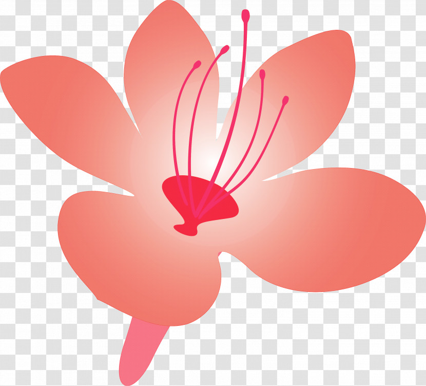 Azalea Spring Flower Azalea Flower Transparent PNG