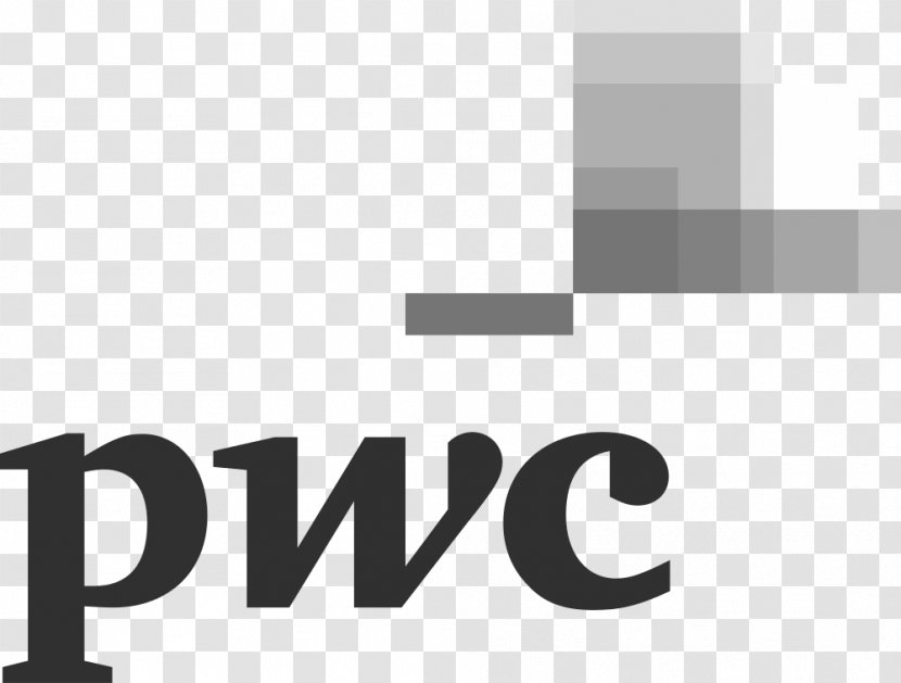 PricewaterhouseCoopers New York City Business Committee Of Sponsoring Organizations The Treadway Commission Strategy& - Strategy Transparent PNG