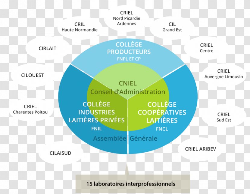 Milk Dairy Products Organization Centre National Interprofessionnel De L'économie Laitière (France) Transparent PNG