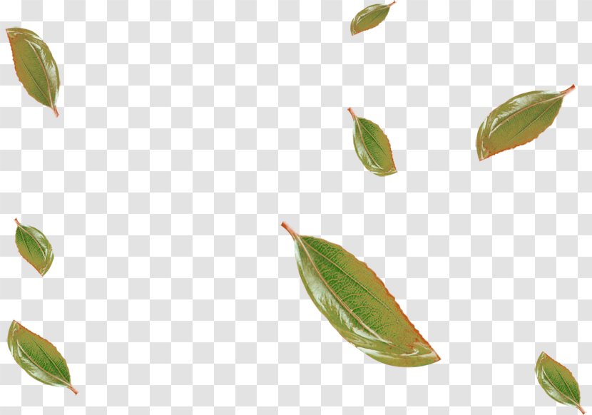 Leaf Clip Art - Poster - Green Leaves Falling Floating Material Transparent PNG