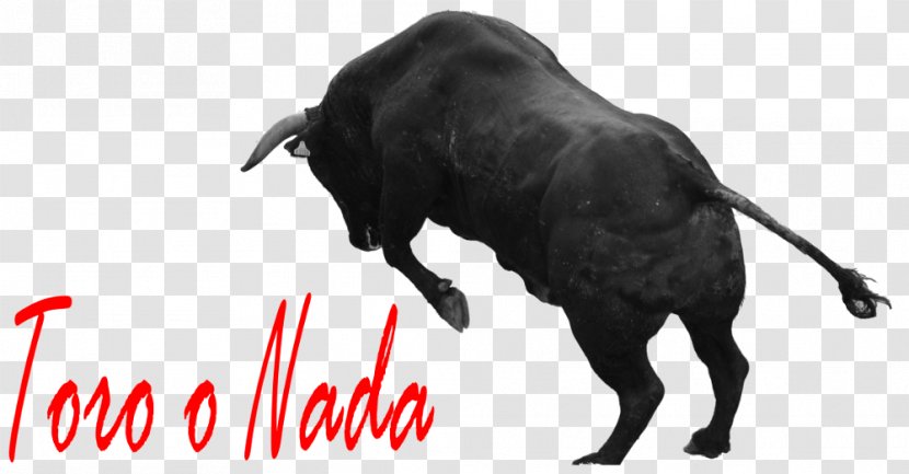Spanish Fighting Bull Horn Running Of The Bulls Ox - Tree Transparent PNG