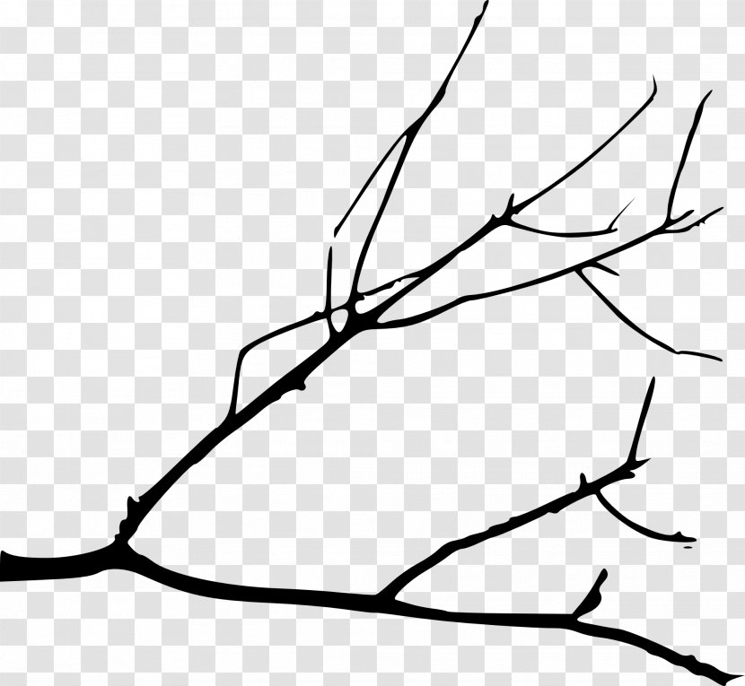 Branch Tree Silhouette Drawing Clip Art - Twig - Draw Transparent PNG