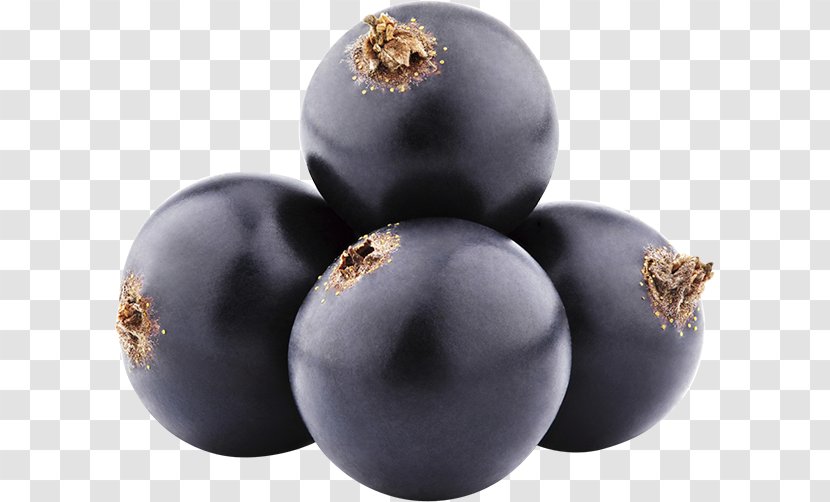 Blackcurrant Zante Currant Berries Blueberry Fruit - Juniper Berry Transparent PNG