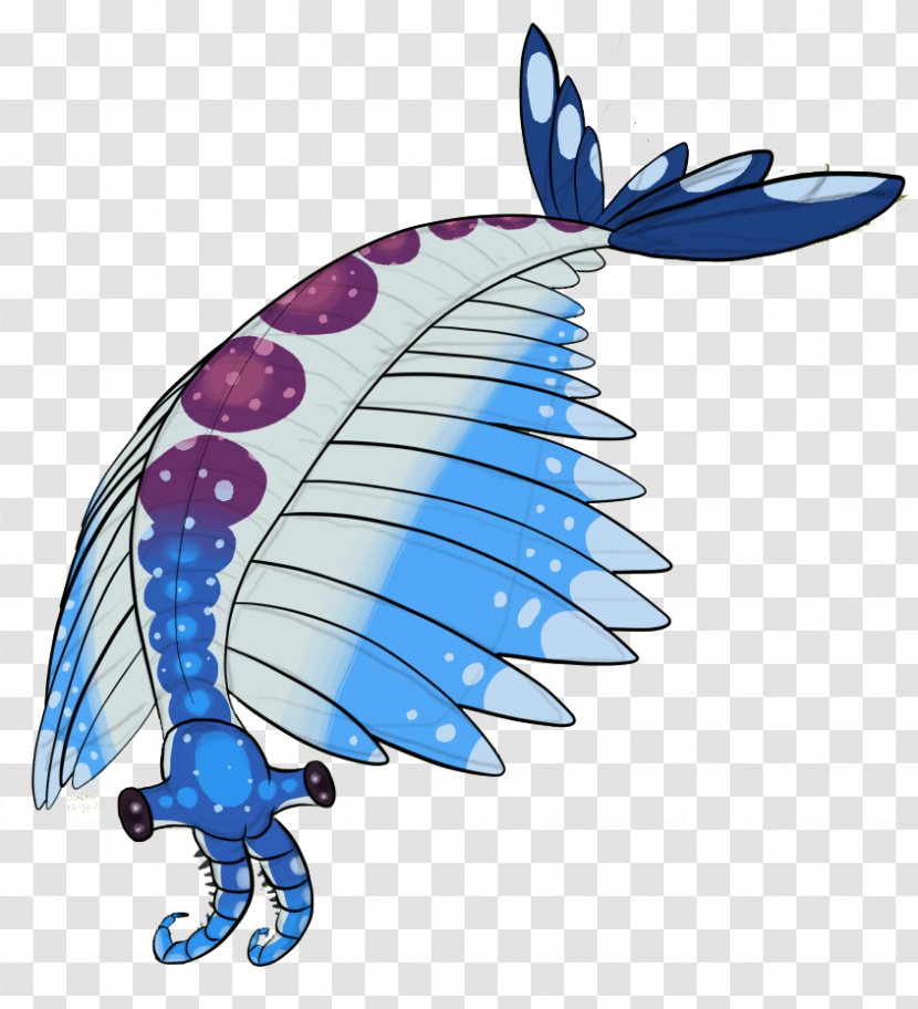 Anomalocaris Fossil Cambrian Paleontology Canada - Mammal Transparent PNG