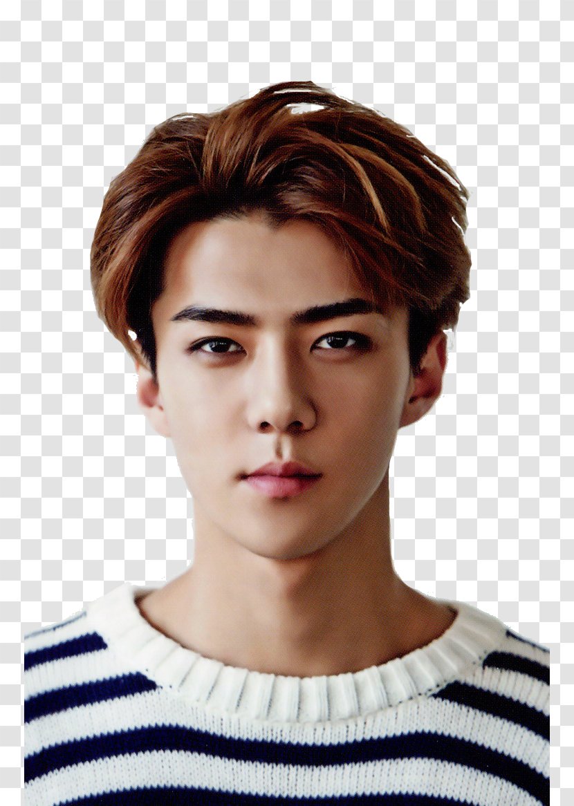 Sehun EXO Next Door South Korea SM Town - Cartoon - Heart Transparent PNG