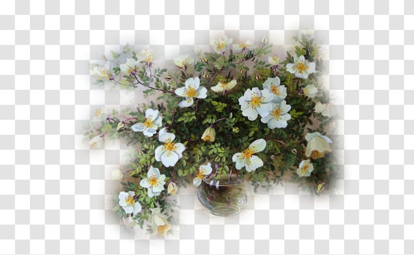 Still Life Flower - Aster - Kwiaty Transparent PNG
