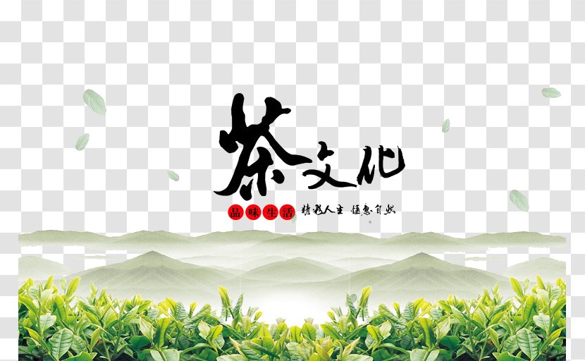 Green Tea Yum Cha Culture Japanese Ceremony Transparent PNG
