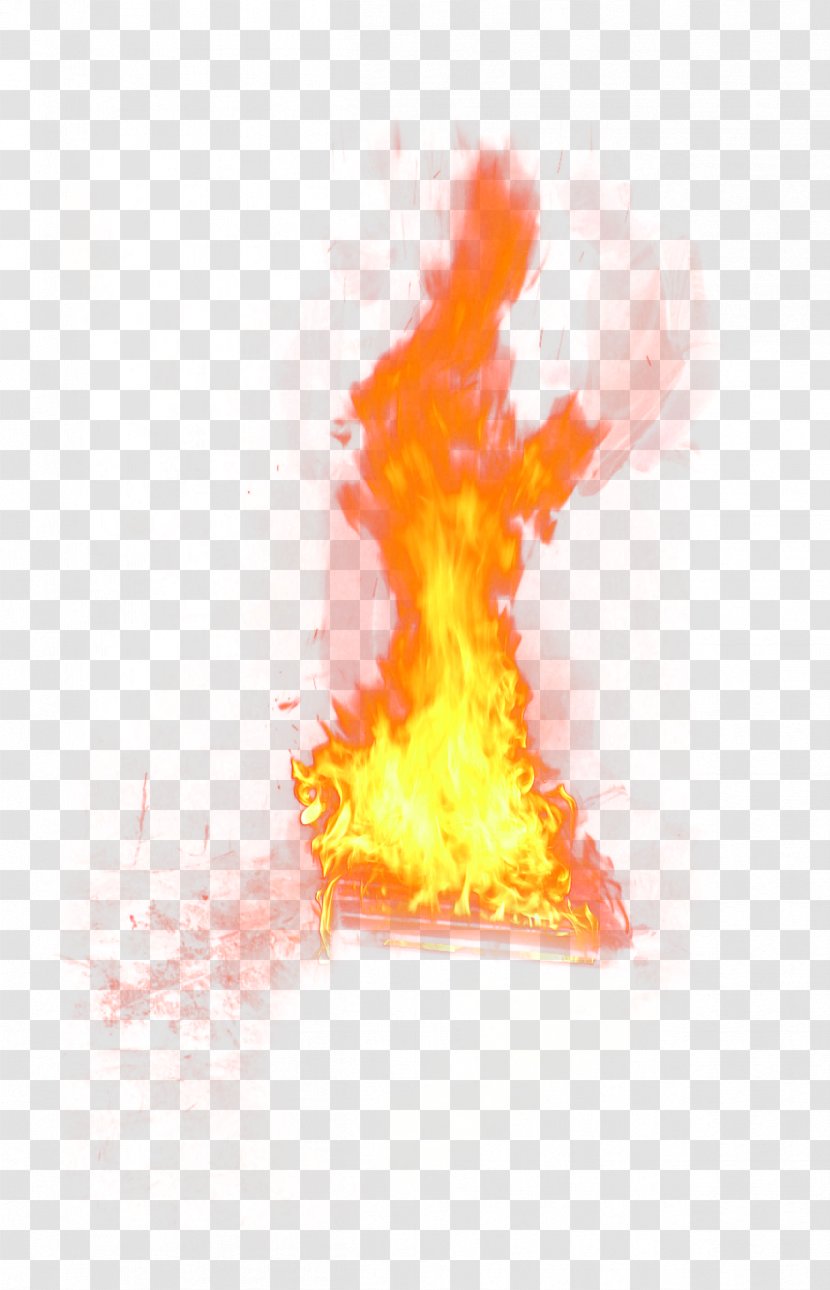 Flame Fire Combustion Download - Flower Transparent PNG