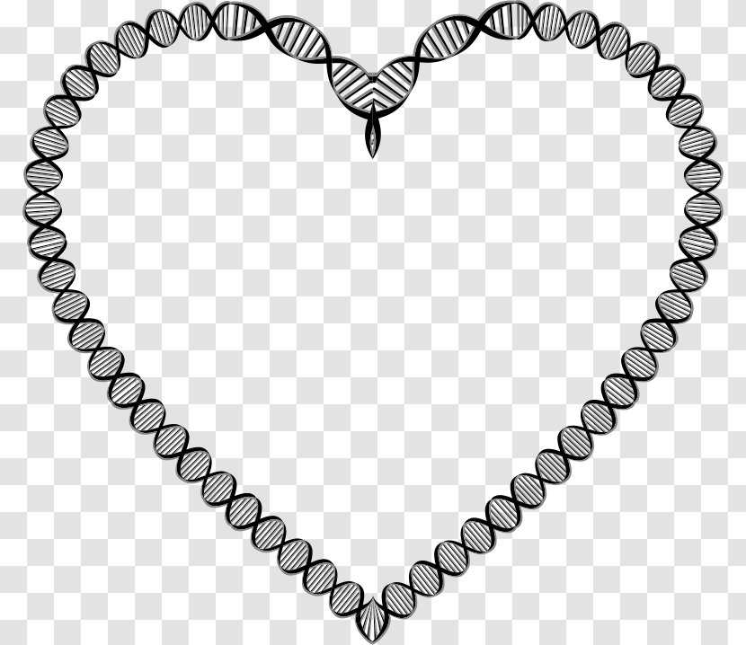 A-DNA Nucleic Acid Double Helix Genetics Biology - Frame - Heart Transparent PNG