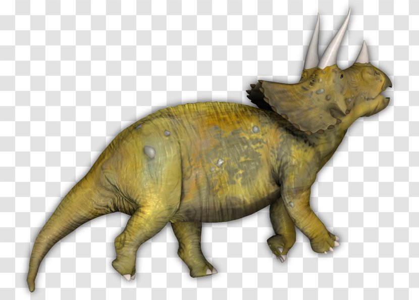 Triceratops Tyrannosaurus Terrestrial Animal Extinction Transparent PNG
