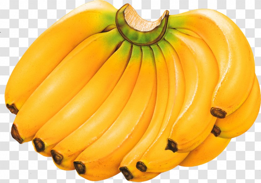 Cavendish Banana Tropical Fruit Food - Nutrition Facts Label Transparent PNG