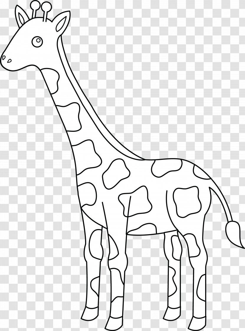 Giraffe Drawing Black And White Clip Art - Wildlife - Animal Head Outline Giraff Transparent PNG