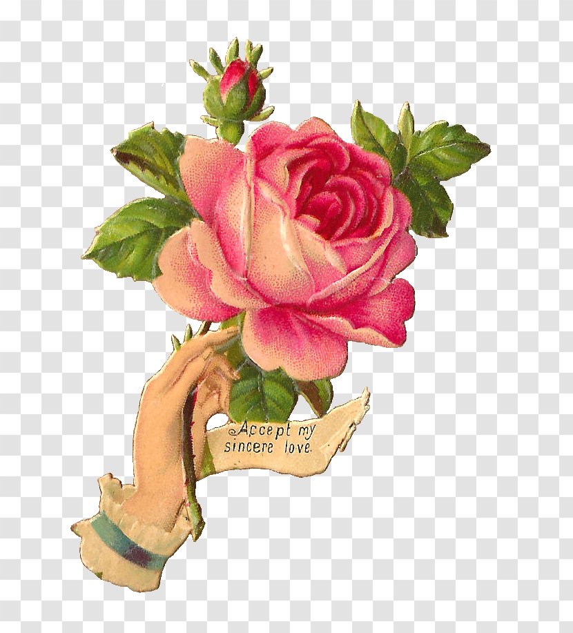 Rose Vintage Clothing Clip Art - Cut Flowers - Sincere Transparent PNG