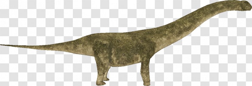 Zoo Tycoon 2 Argentinosaurus Allosaurus Einiosaurus Dinosaur Transparent PNG