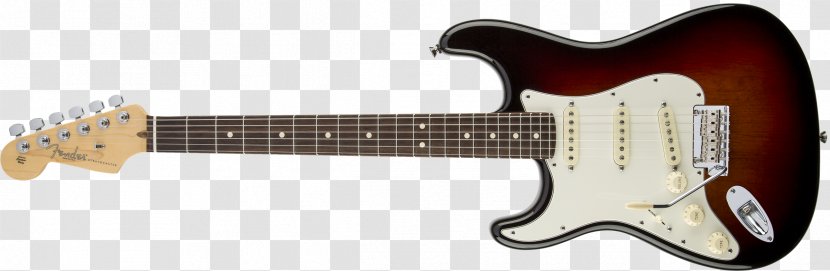 Fender Stratocaster Contemporary Japan Squier Deluxe Hot Rails Musical Instruments Corporation - Rosewood Transparent PNG