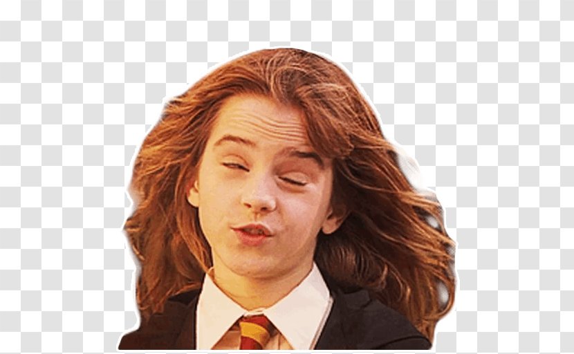 Harry Potter (Literary Series) Sticker Telegram Hermione Granger - Hair Coloring Transparent PNG