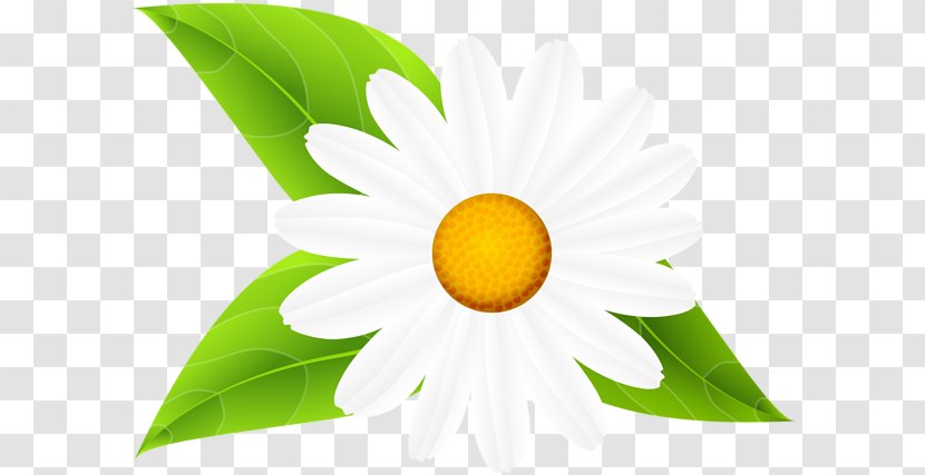 Clip Art Image Openclipart Common Daisy - Smiley - Family Transparent PNG