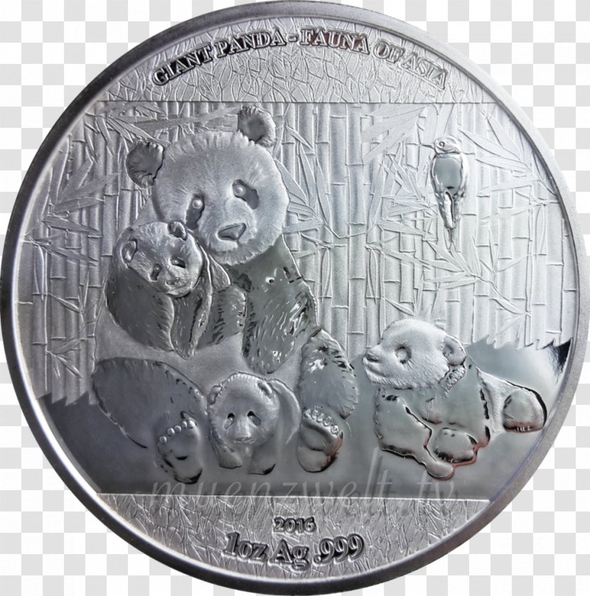 Money Coin Silver Currency - Giant Panda Transparent PNG