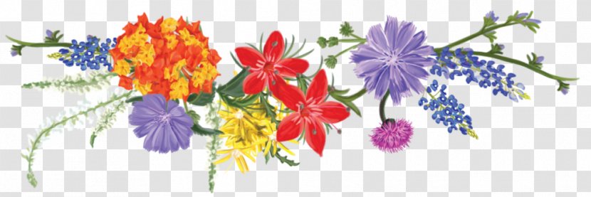 Floral Design Illustration Flowering Plant Plants - Floristry - Outer Space Vodka 80 Proof Transparent PNG